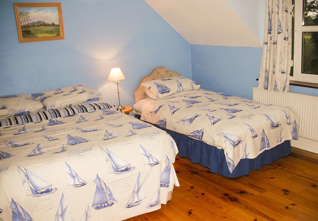 The Well Meadow B&B Nenagh Pokój zdjęcie