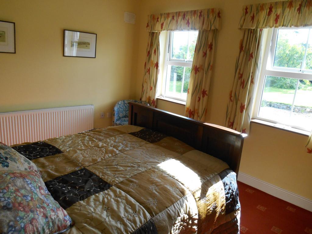 The Well Meadow B&B Nenagh Pokój zdjęcie
