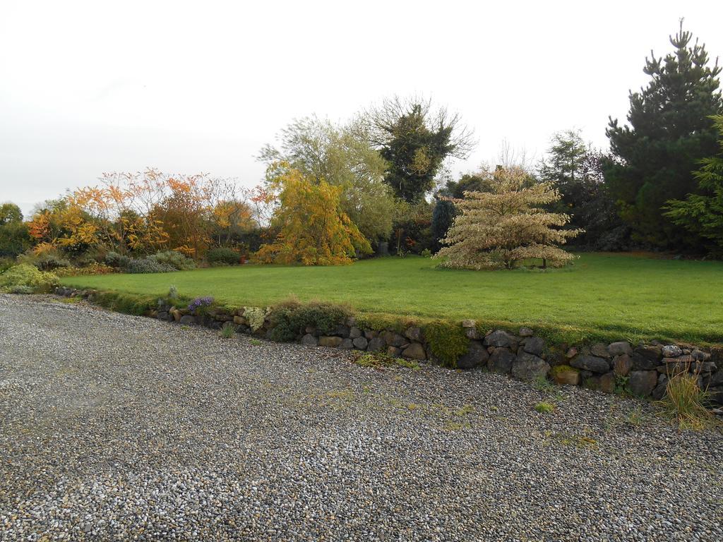 The Well Meadow B&B Nenagh Zewnętrze zdjęcie